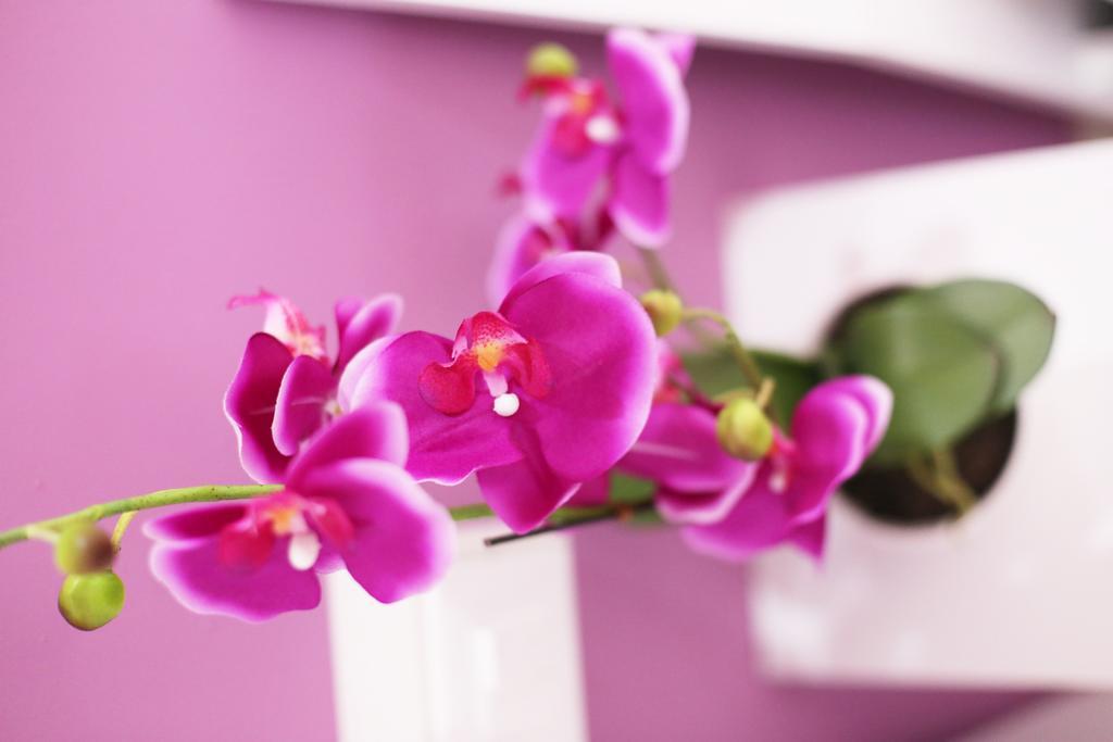 Iris Room 로마 객실 사진