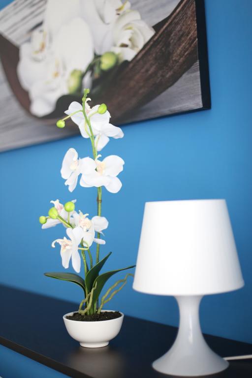 Iris Room 로마 외부 사진